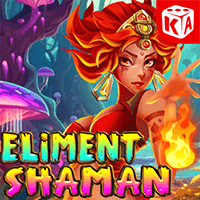 Elemental Wizard